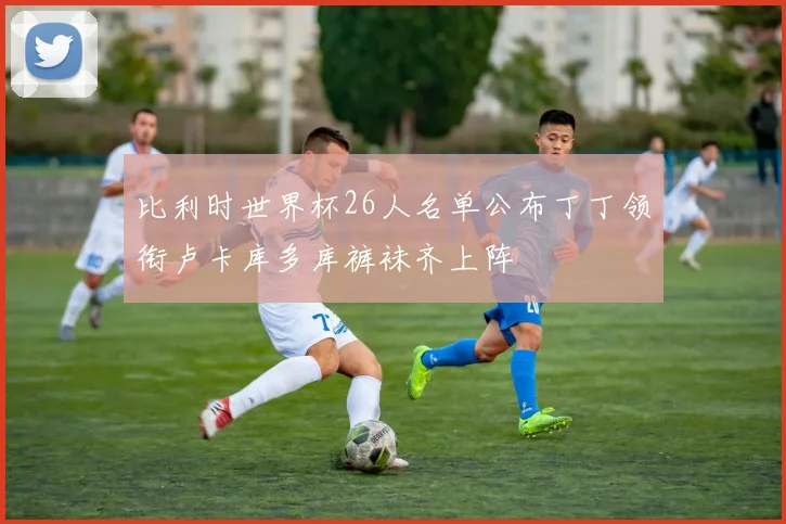 比利时世界杯26人名单公布丁丁领衔卢卡库多库裤袜齐上阵
